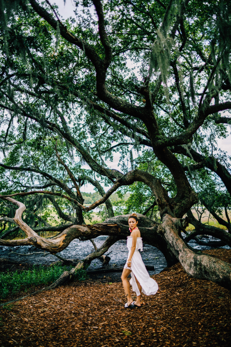 Boone's Plantation - Travel Guide: 36 hours in Charleston, SC // NotJessFashion.com