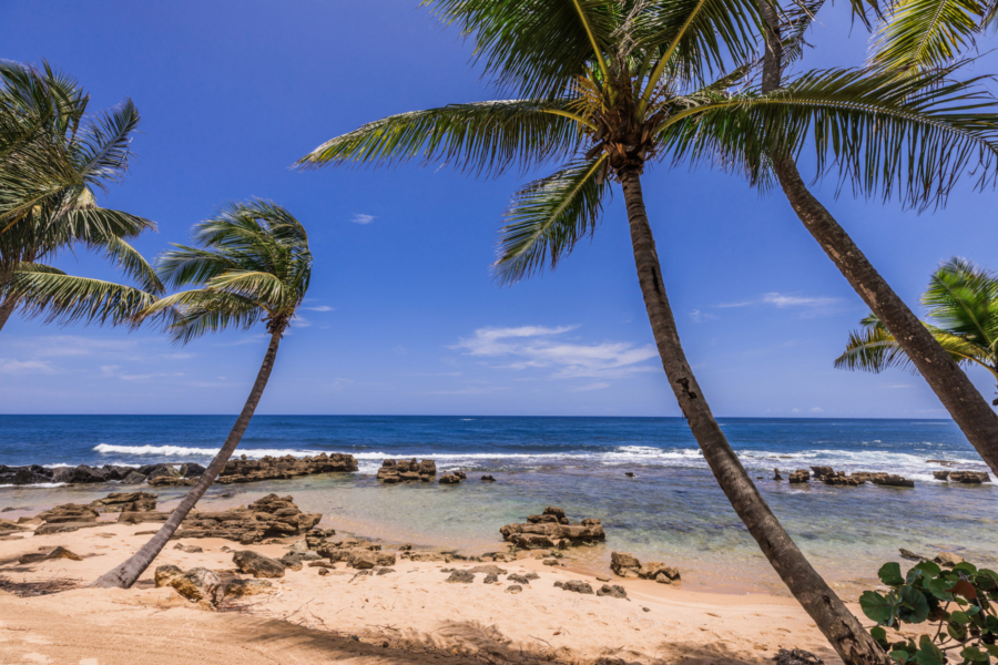 Ritz Carlton Private Beach - Discover Puerto Rico's Best Kept Secret // NotJessFashion.com