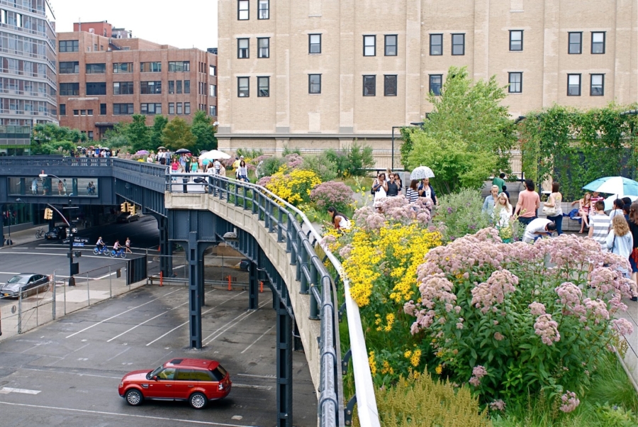 Highline Park - 10 Things You Must Do In New York This Summer // NotJessFashion.com