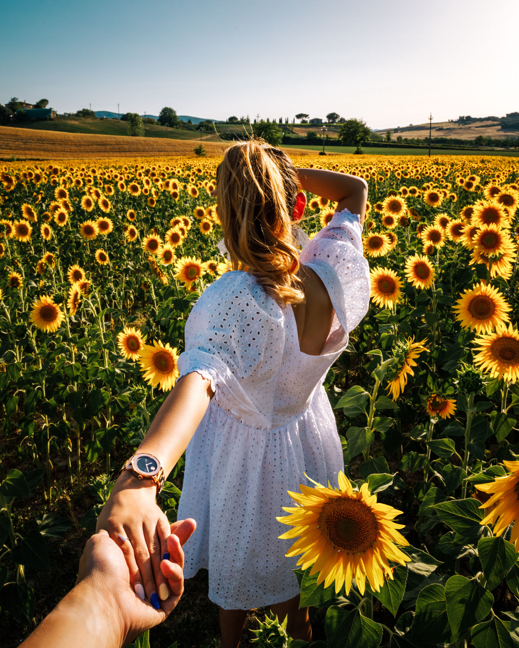 best flower fields of instagram, white eyelet dress, White Dresses For Summer // NotJessFashion.com