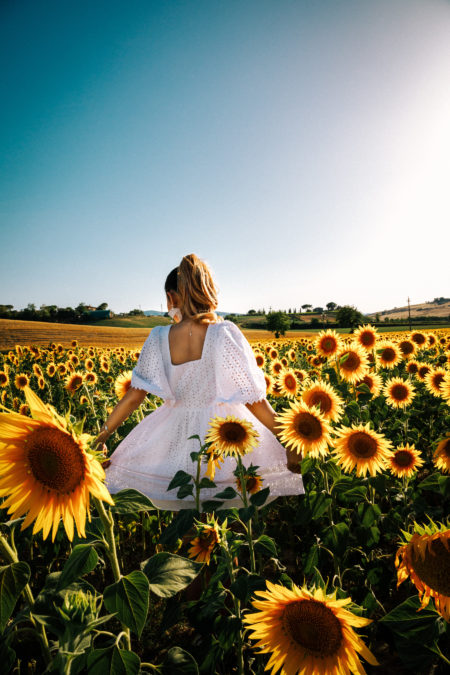 sunflower field, sunflower portraits // NotJessFashion.com