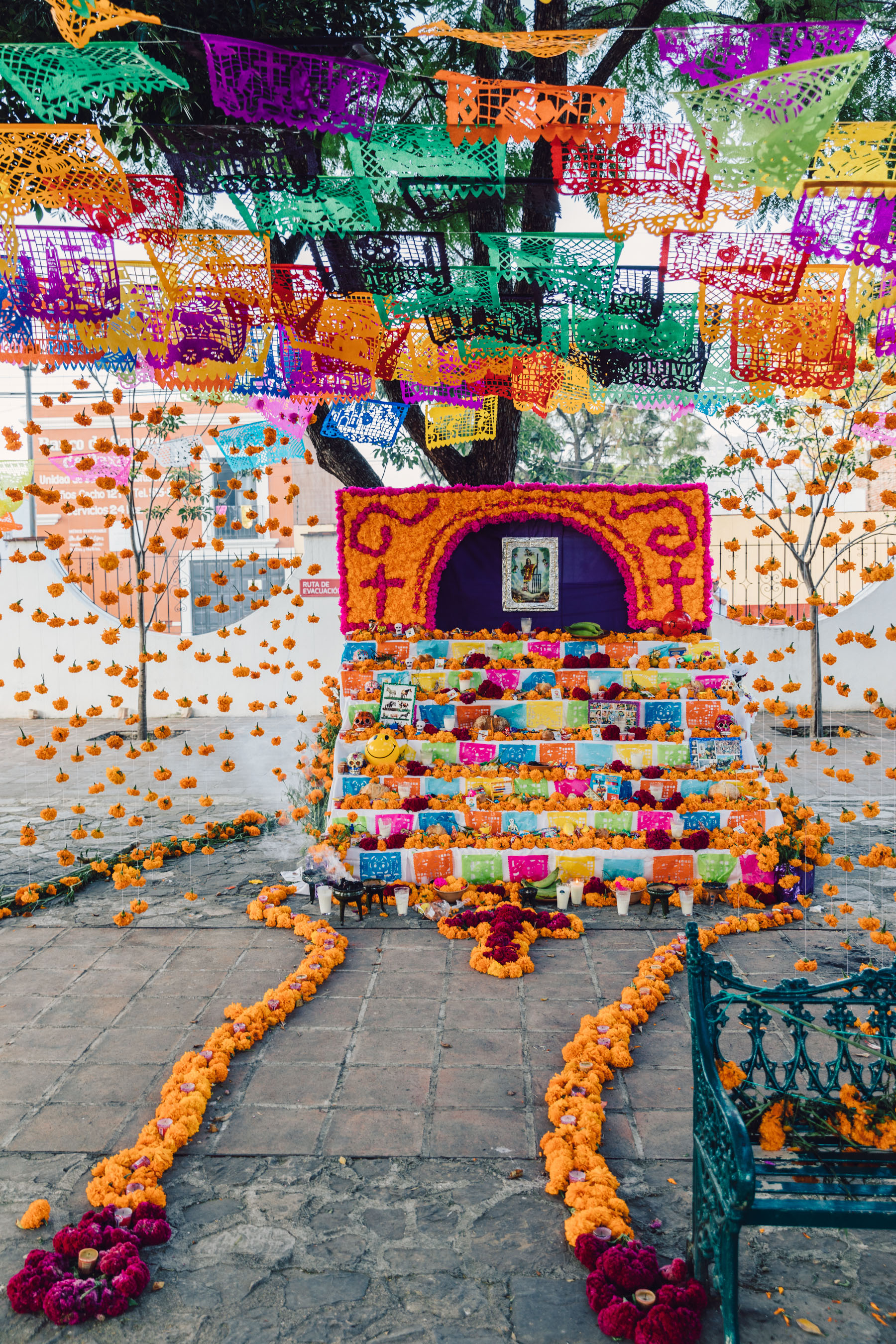 Traditional Altars on Dia de Muertos in Oaxaca // Notjessfashion.com