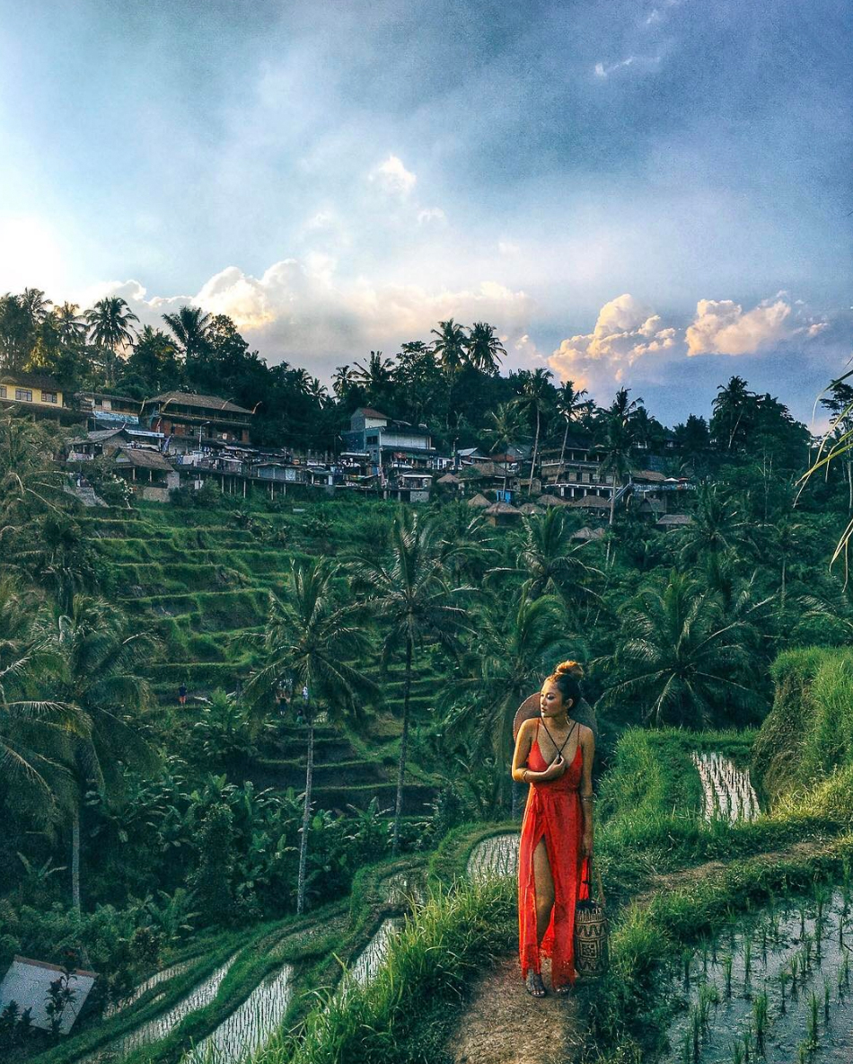 Essential Photography Tips for New Bloggers - Jessica Wang goes to Indonesia // NotJessFashion.com // jessica wang, new york fashion blogger, Tegallalang Rice Field Terrace, travel blogger, indonesia rice field, travel and fashion, stylish travel