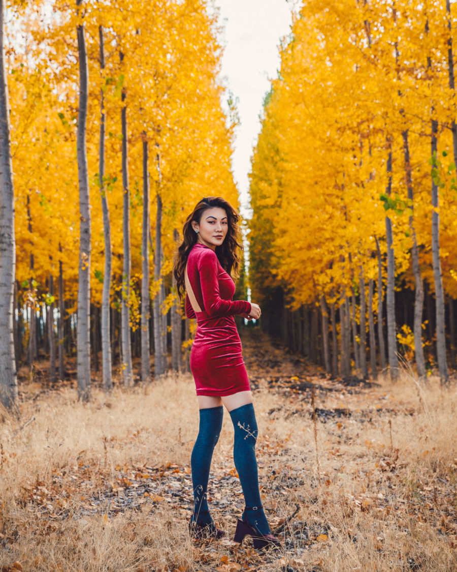 How to build the perfect fall wardrobe on a budget, affordable velvet dress, velvet trend for fall // Notjessfashion.com
