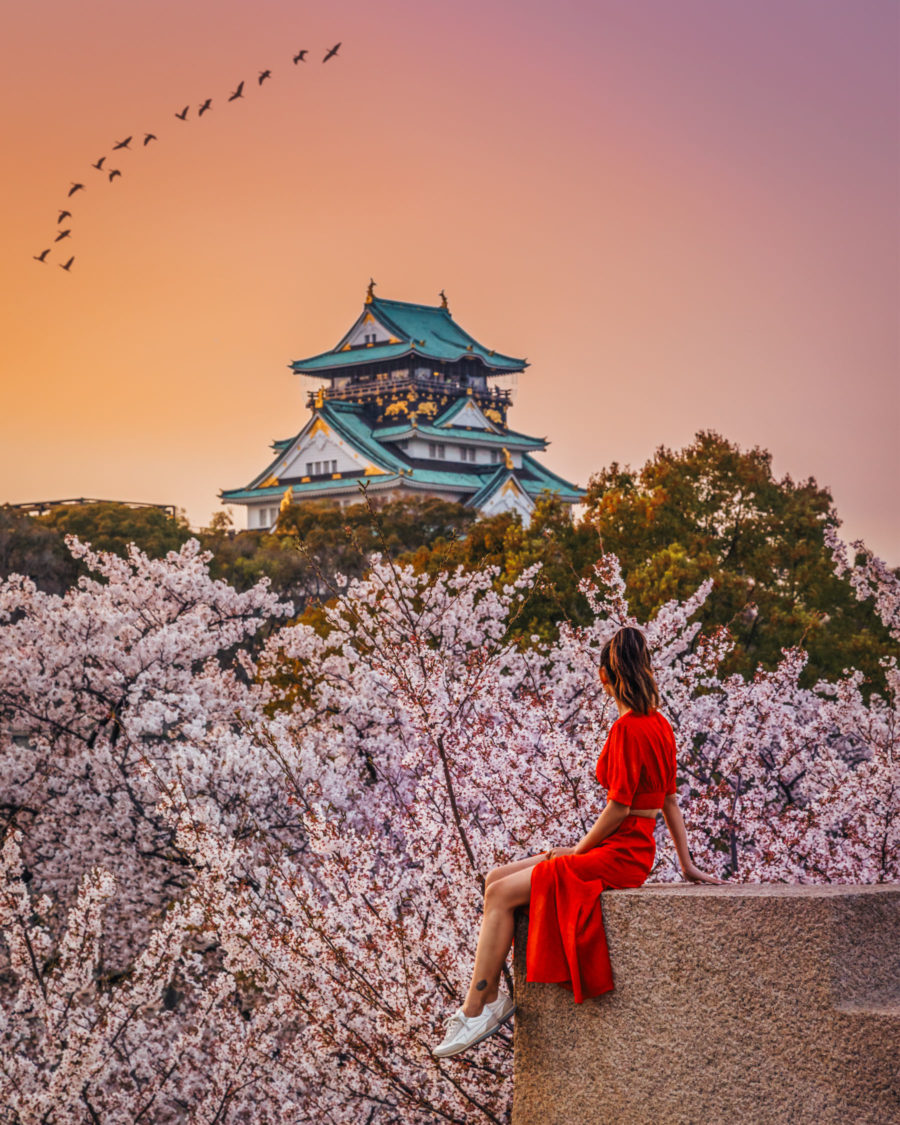 7 Best Spots for Cherry Blossoms in Japan - Osaka Castle, Japan Travel Guide, luxury travel blogger // Notjessfashion.com