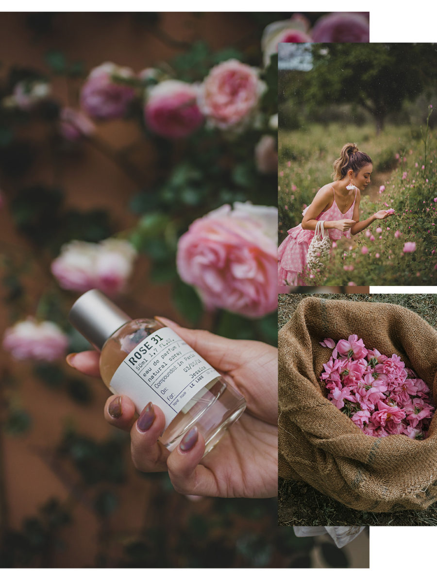 Fairmont x Le Labo Grasse Rose Harvest Experience - tiered dress and sneakers, pink tiered ruffle dress, dress and sneakers outfit, grasse rose field, le labo rose field, le labo blogger experience, le labo rose 31 fragrance, rose perfume // Notjessfashion.com