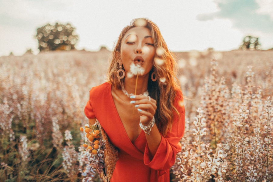 Lavender fields Provence, DVF orange dress // Notjessfashion.com