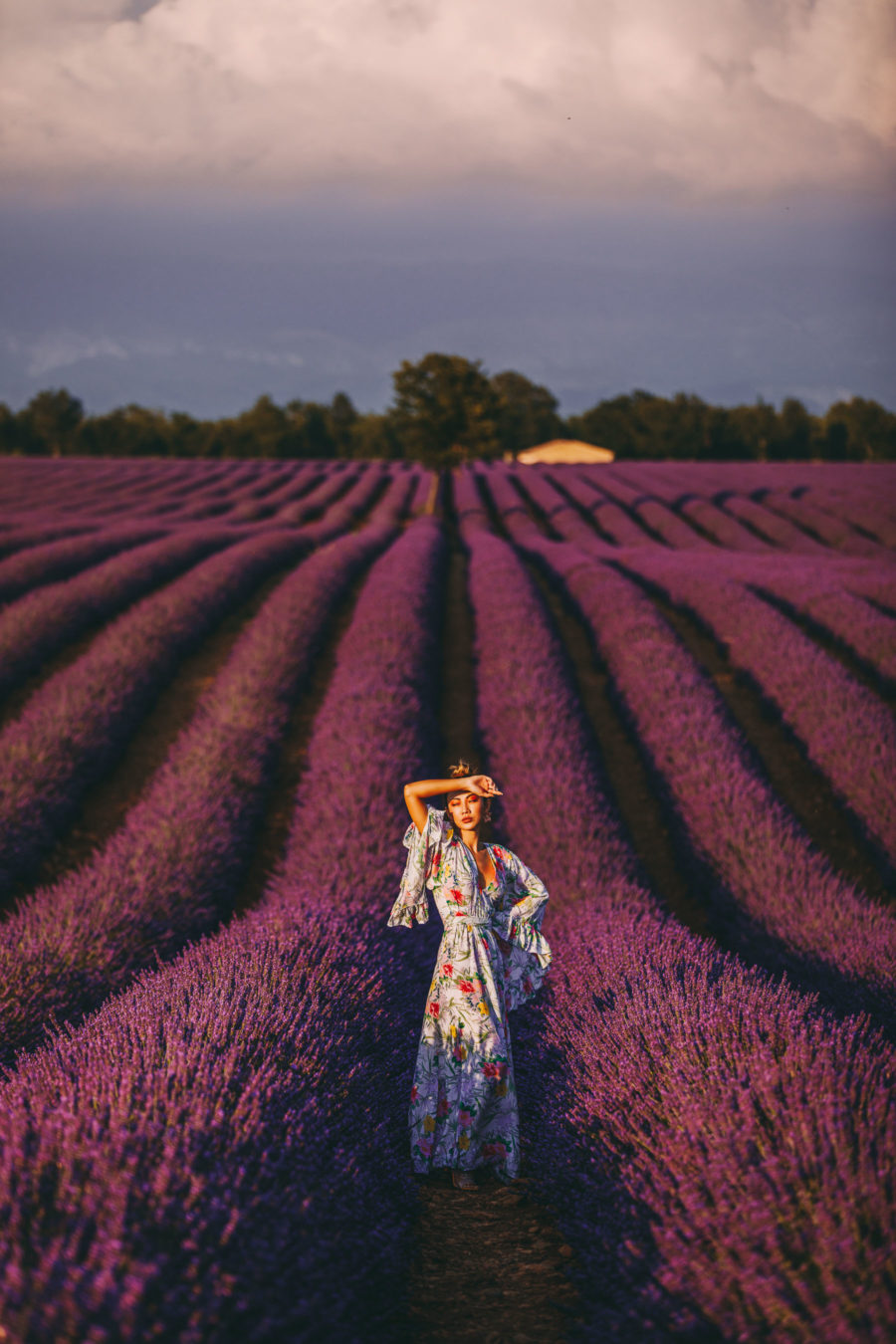 Lavender Fields of Provence // Notjessfashion.com